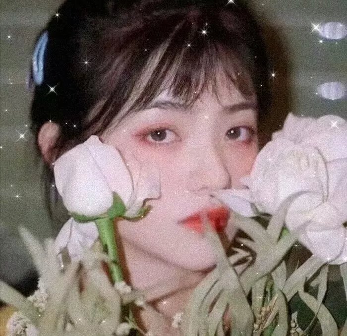 许愿人 封面