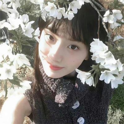 追女仔 封面