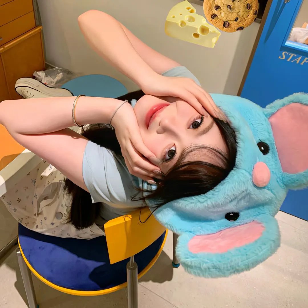 奇遇 封面